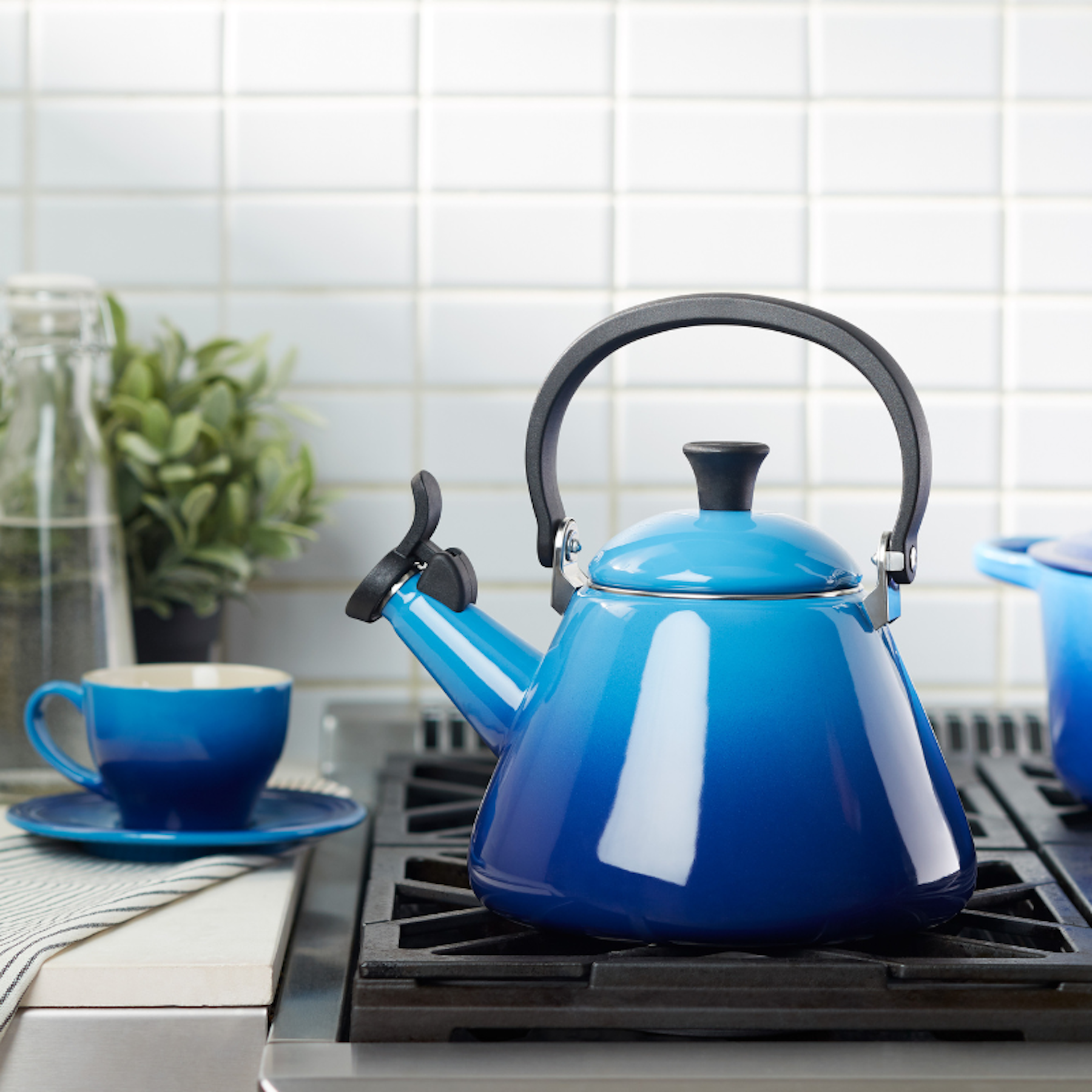 Le Creuset Kettles NOW $99!