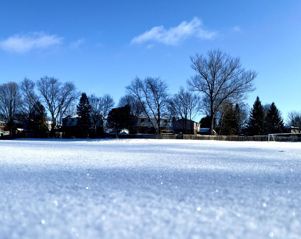The Perfect Meal for a Beautiful Winter's Day