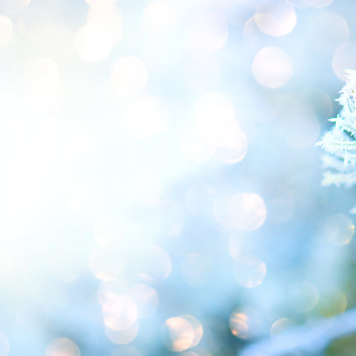 Happy New Year! Our Boxing Sale Continues