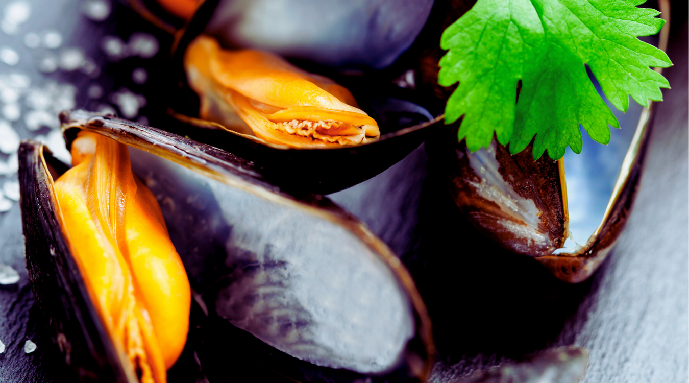 Donal Skehan's Mussels with Irish Cider Cream Sauce