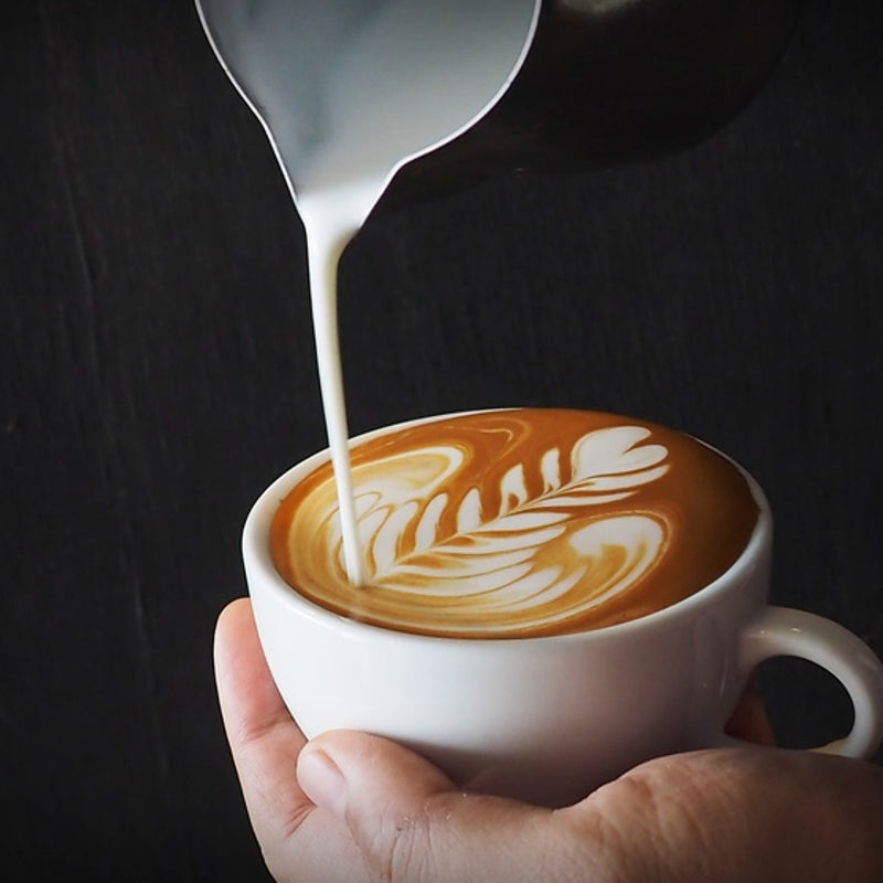 Café Culture Milk Frothing Pitcher -  Stainless Steel