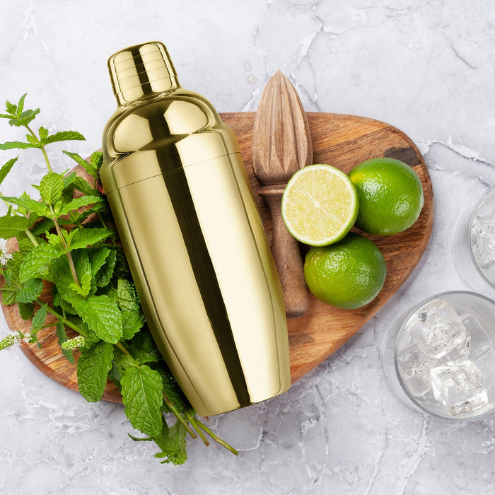 Final Touch Double-Wall Stainless Steel Cocktail Shaker - Brass / 18 oz