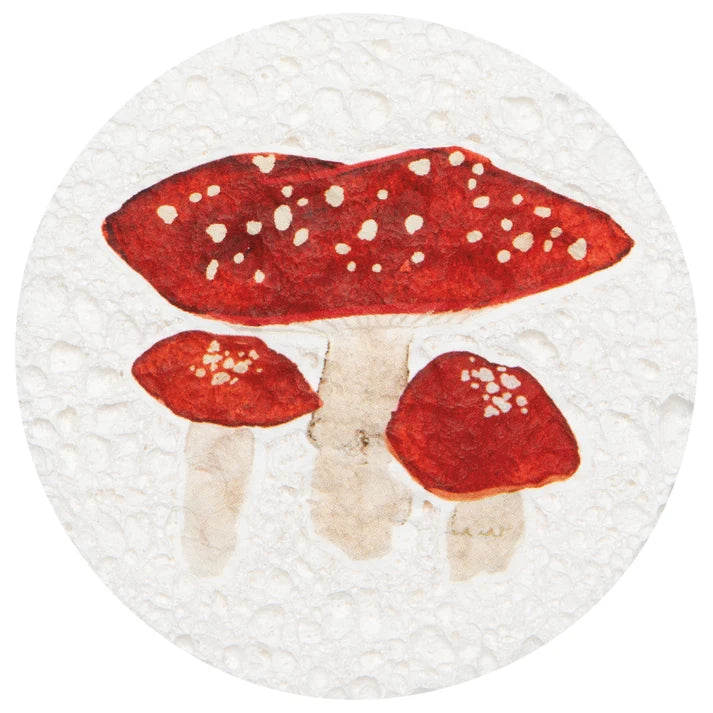 Now Designs Autumn Bounty Sponges - 3 Style Options