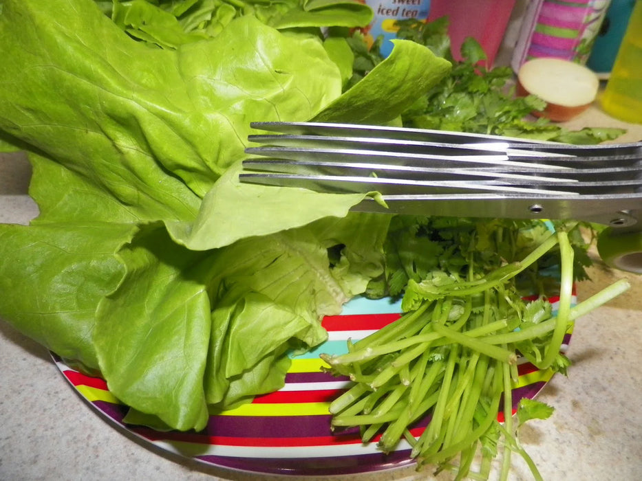 Cuisinox Herb Scissors