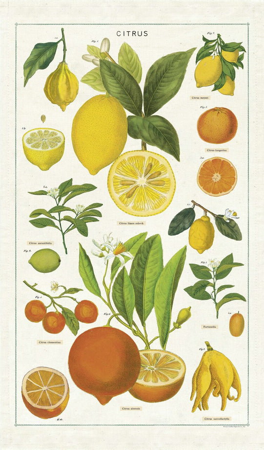 Cavallini Citrus Tea Towel
