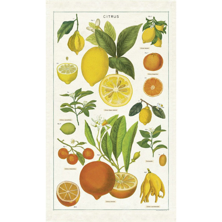Cavallini Citrus Tea Towel