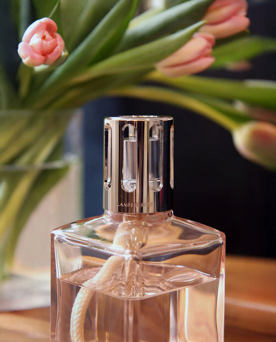 Maison Berger Blush Beige Carrée Fragrance Lamp Gift Set with Liliflora