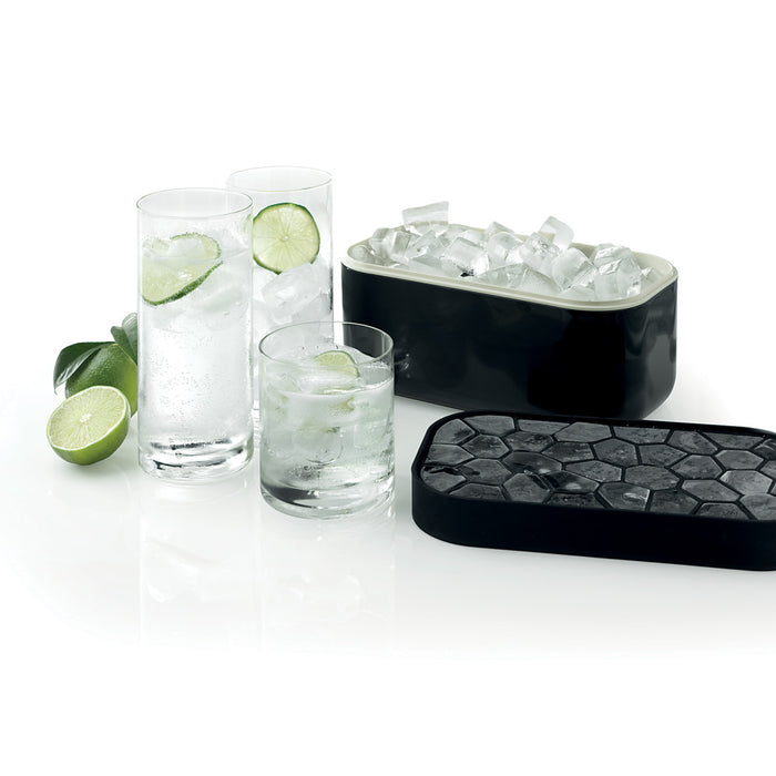 Lekue Ice Box Silicone Ice Cube Tray and Storage Box